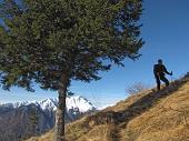 Salita da Rovetta a Cima Paré (1642 m) il 2 dicembre 2009 - Piero e Fulvio - FOTOGALLERY